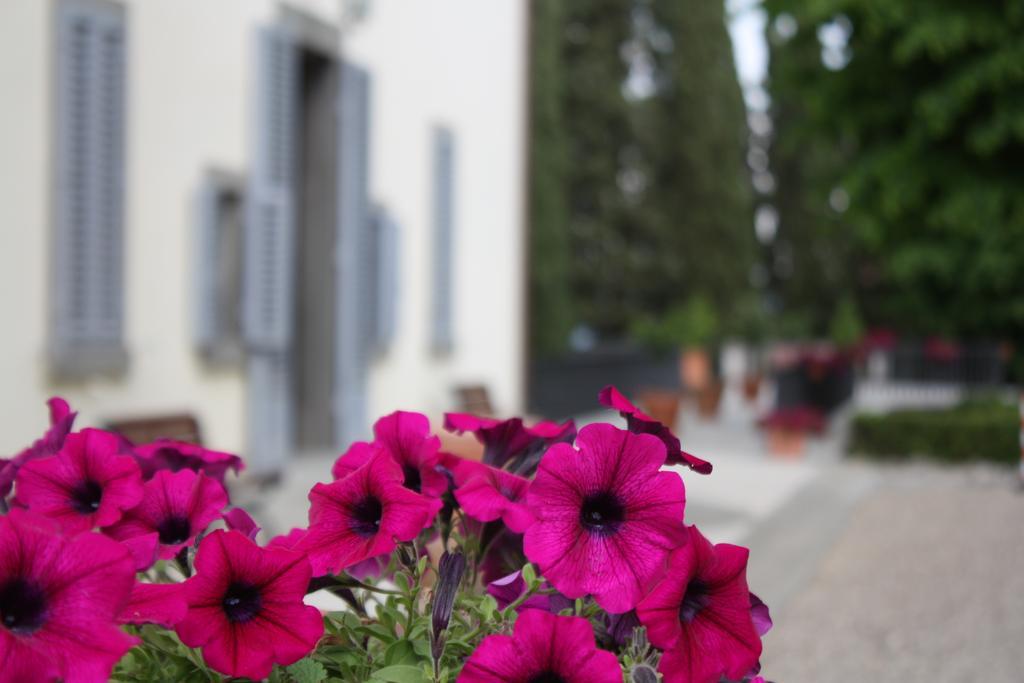 Villa Montarioso Σιένα Εξωτερικό φωτογραφία